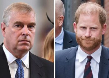 Will Prince Andrew Still Have Royal Protection?