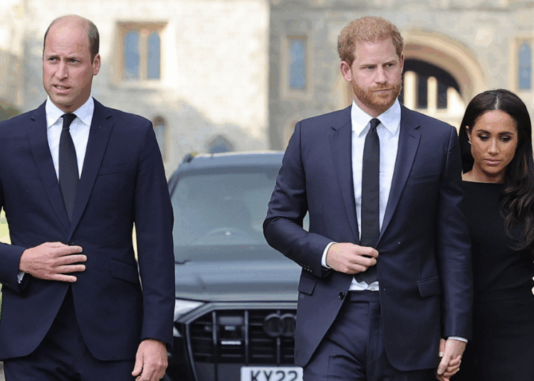 William Plans To ‘Cut Harry and Meghan Loose’ When He's King