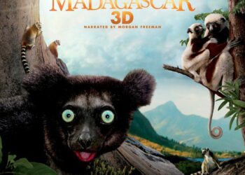 World Lemur Day in IMAX!