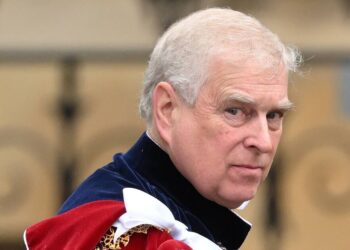 CNN interrupts live broadcast to announce Prince Andrew bombshell - Celebrity News - Entertainment