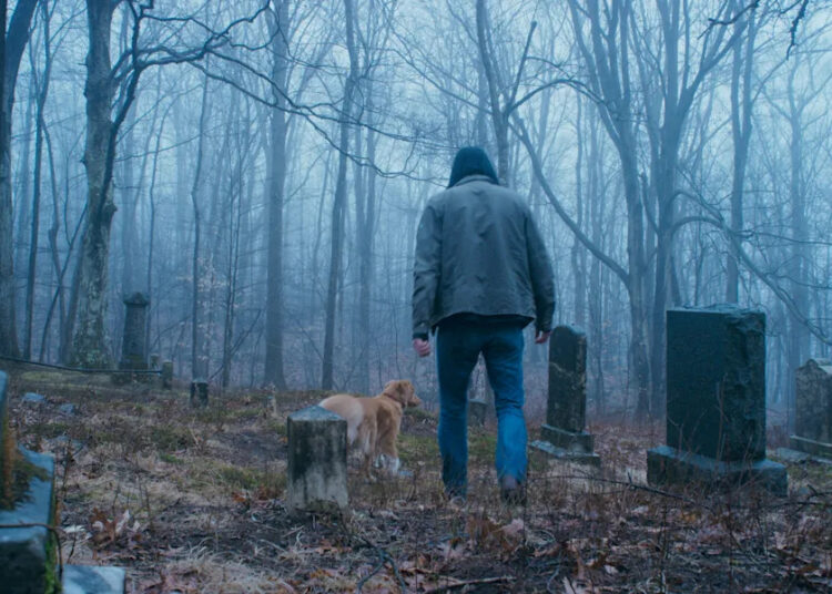 ‘Good Boy’ Fetches A Top IFC Opening As Canine Star Emotes Fear, Suspense Better Than Many Actors, Says Scott Shooman – Specialty Box Office