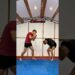 The WORST martial arts feelings…