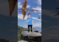 If dragons were real #comedy #music #quetzalcoatlus