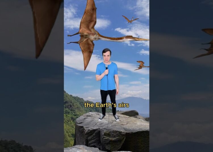 If dragons were real #comedy #music #quetzalcoatlus