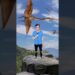 If dragons were real #comedy #music #quetzalcoatlus