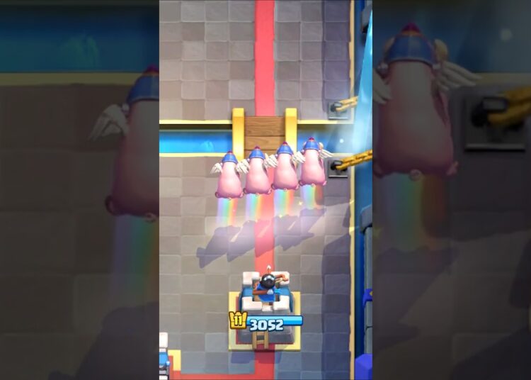ROYAL HOGS EVOLUTION GUIDE IN CLASH ROYALE! #clashroyale #shorts