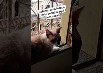 As fofoqueiras começaram bem cedo hoje!