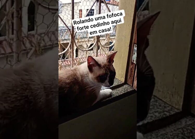 As fofoqueiras começaram bem cedo hoje!
