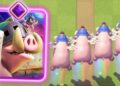 Royal Hogs Evolution