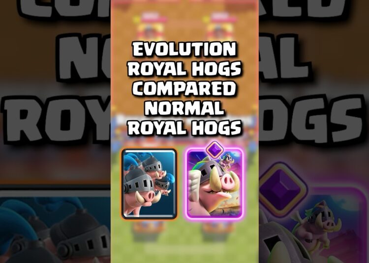 Evolution Royal Hogs Vs Royal Hogs #clashroyale #shorts