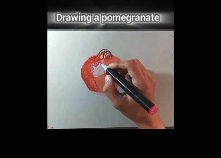 drawing a pomegranate so realistic 🤩#shorts #youtubearts #drawing #art #artist #vairalshort