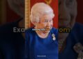 The Queen’s 8 grandchildren🤯 #queen #royal #royalfamily #queenelizabeth #king #usa #london #nyc