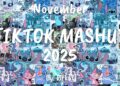 TIKTOK MASHUP NOVEMBER 💙2025💙 (NOT CLEAN) 😇