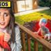 We Found Something TERRIFYING in Our Backyard! | The Anazala Family