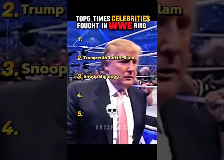 Funniest Celebrity Fights in WWE History