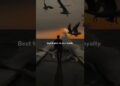 Royalty – Egzod & Neoni | lyrics | aestetic | whatsapp status | english songs | slowed #royalty #ncs