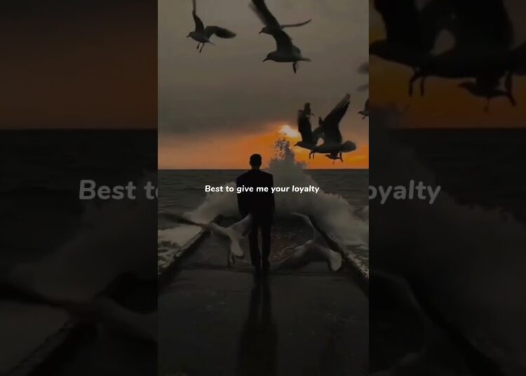 Royalty – Egzod & Neoni | lyrics | aestetic | whatsapp status | english songs | slowed #royalty #ncs