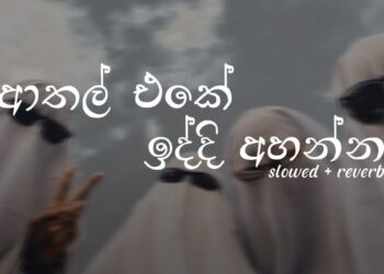 ආතල් එකේ ඉද්දි සැපේ අහන්න | Chill Sinhala songs collection 🎵🤍 | #DASSAMUSIC