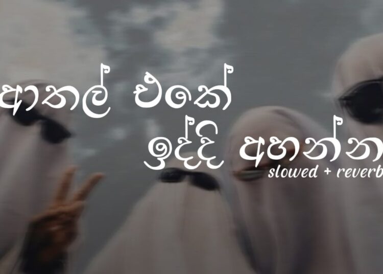 ආතල් එකේ ඉද්දි සැපේ අහන්න | Chill Sinhala songs collection 🎵🤍 | #DASSAMUSIC
