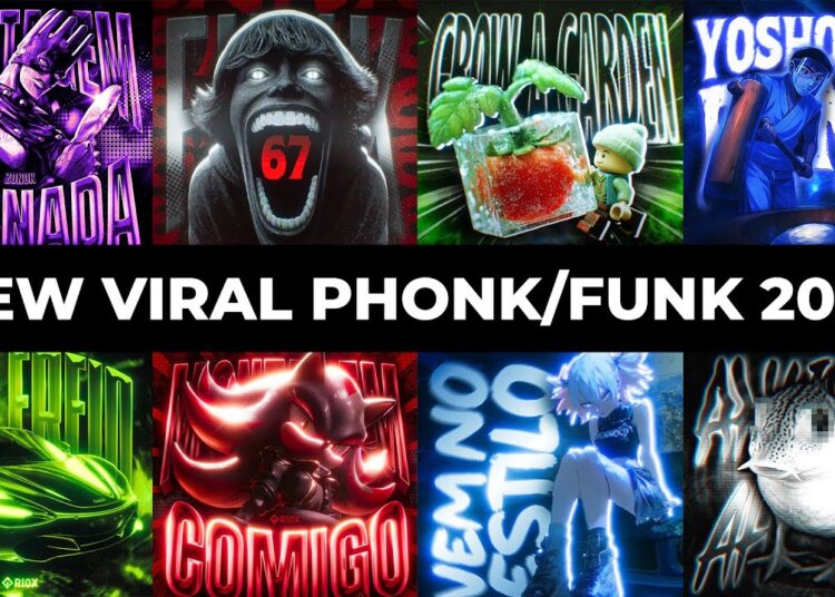 NEW VIRAL FUNK/PHONK 2025 | BRAZILIAN PHONK | PHONK MUSIC 2025