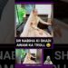 Dr Nabiha Ali Khan Trolled for Wedding Jewelry Price | Celebrities and Gossip #showbiz #shorts
