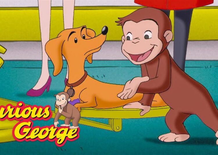 Hundley is Royalty!? 🐵 Curious George 🐵 Kids Cartoon 🐵 Kids Movies