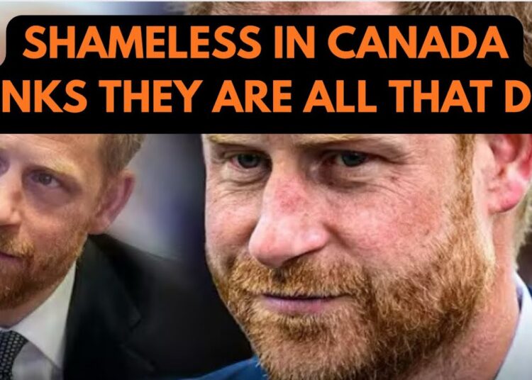 PRINCE HARRY LIES CAUGHT OUT RED HANDED LATEST #princeharrry #meghan #royal