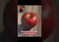 PAINTING A RED APPLE WITH ACRYLIC PAINTING|| HOW TO PAINT. ARTIST: filadorapainter