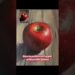 PAINTING A RED APPLE WITH ACRYLIC PAINTING|| HOW TO PAINT. ARTIST: filadorapainter