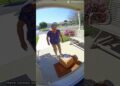 GOSSIP BOMB! 🤣 Nosy Grandma BLOWN UP by Cloud of Pure Innocence! 💥 Oh My!