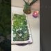 Let’s celebrate spring #art #painting #gouache #youtubeshorts #shortsviral #shorts #artist #nature