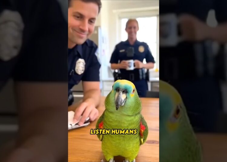 🦜 This parrot really said “Gossip spreads faster than your Wi-Fi #funny #viral #shorts