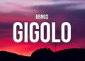 bbno$ – gigolo (Lyrics)
