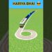 TRAIN CROSSIN CIRCLE SNAKE 🐍 TRACKS #music #anime #beats #lofi #otaku