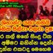 ශිහාන් මිහිරංග අශ්නික සිල්වා පන්නා දැමු වීඩියෝව shihan mihiranga|ashnika silva|gossip|es productions