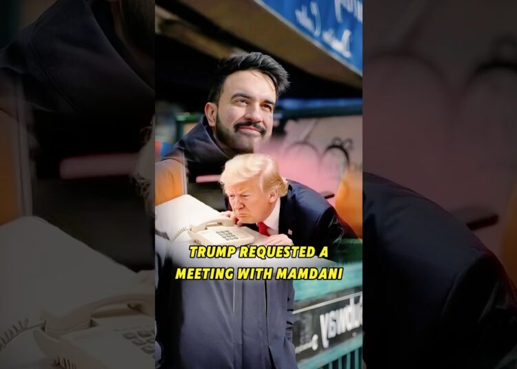 Trump requested a meeting with Mamdani #story #shortvideo #celebrity #actress #trump #mamdani