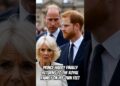 Prince Harry finally returns to the royal family on his own feet #princewilliam #royal #princeharry