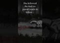 Finally #trending #art #dinosaur #artist #digitalart #drawing #horrorstories #creepy #artwork