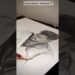 Commission Drawing #drawing #art #shorts