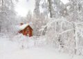 Beautiful Relaxing Music, Peaceful Soothing  Music, “Winter Peaceful Holiday Home” by Tim Janis