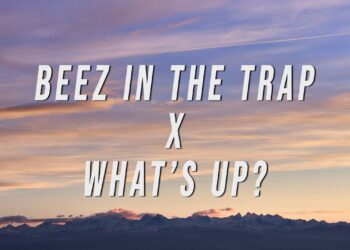Nicki Minaj, 4 Non Blondes – Beez In The Trap X What’s Up? (TikTok Mashup) [Lyrics]