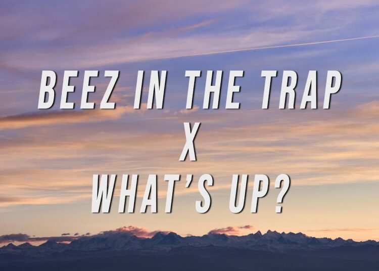 Nicki Minaj, 4 Non Blondes – Beez In The Trap X What’s Up? (TikTok Mashup) [Lyrics]