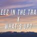 Nicki Minaj, 4 Non Blondes – Beez In The Trap X What’s Up? (TikTok Mashup) [Lyrics]