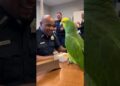 👉 “Talking Parrot Spills Office Gossip During Coffee Break ☕🦜  Police Comedy Short