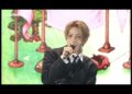 Enhypen sang their song (Royalty)at 2025 ENniversary🎉🎉💐#enhypen #copyright #kpop #engene