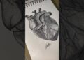 🫀…#art #heart #drawing #sketch #workingartist #artist #artdrawings #myartistlife #loveart #shorts