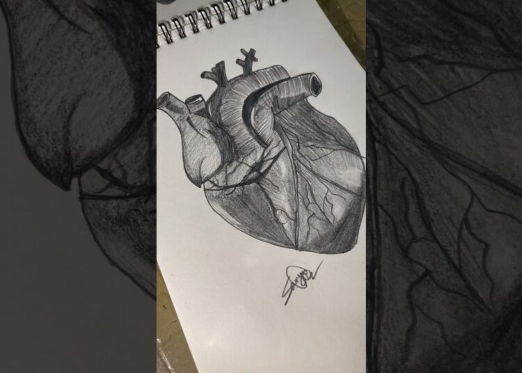 🫀…#art #heart #drawing #sketch #workingartist #artist #artdrawings #myartistlife #loveart #shorts