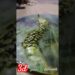3d snake 🐍 artwork #shorts #shortvideo #art #artist #3dart #resinart