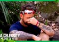 Jack gets emotional over dad Ozzy Osbourne | I’m A Celebrity… Get Me Out of Here! 2025