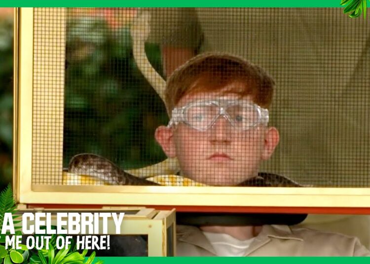 Five new Celebs come face to face with snakes | I’m A Celebrity… Get Me Out of Here! 2025